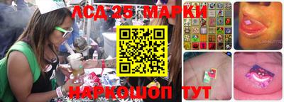 амф Кандалакша