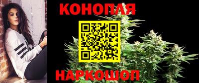 амф Кандалакша